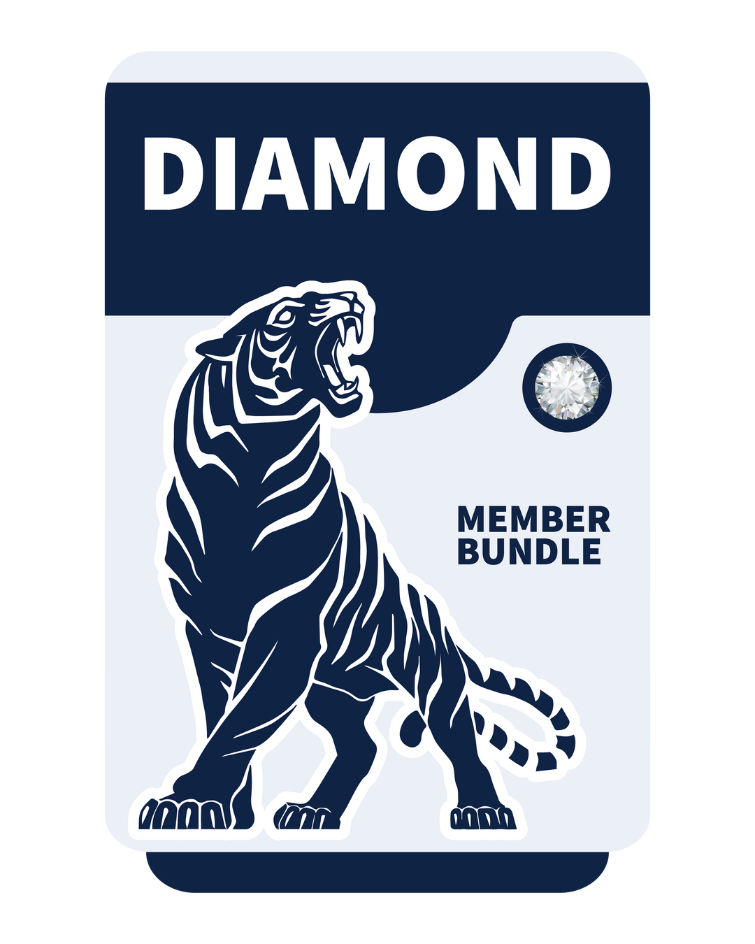 DIAMOND MEMBER BUNDLE